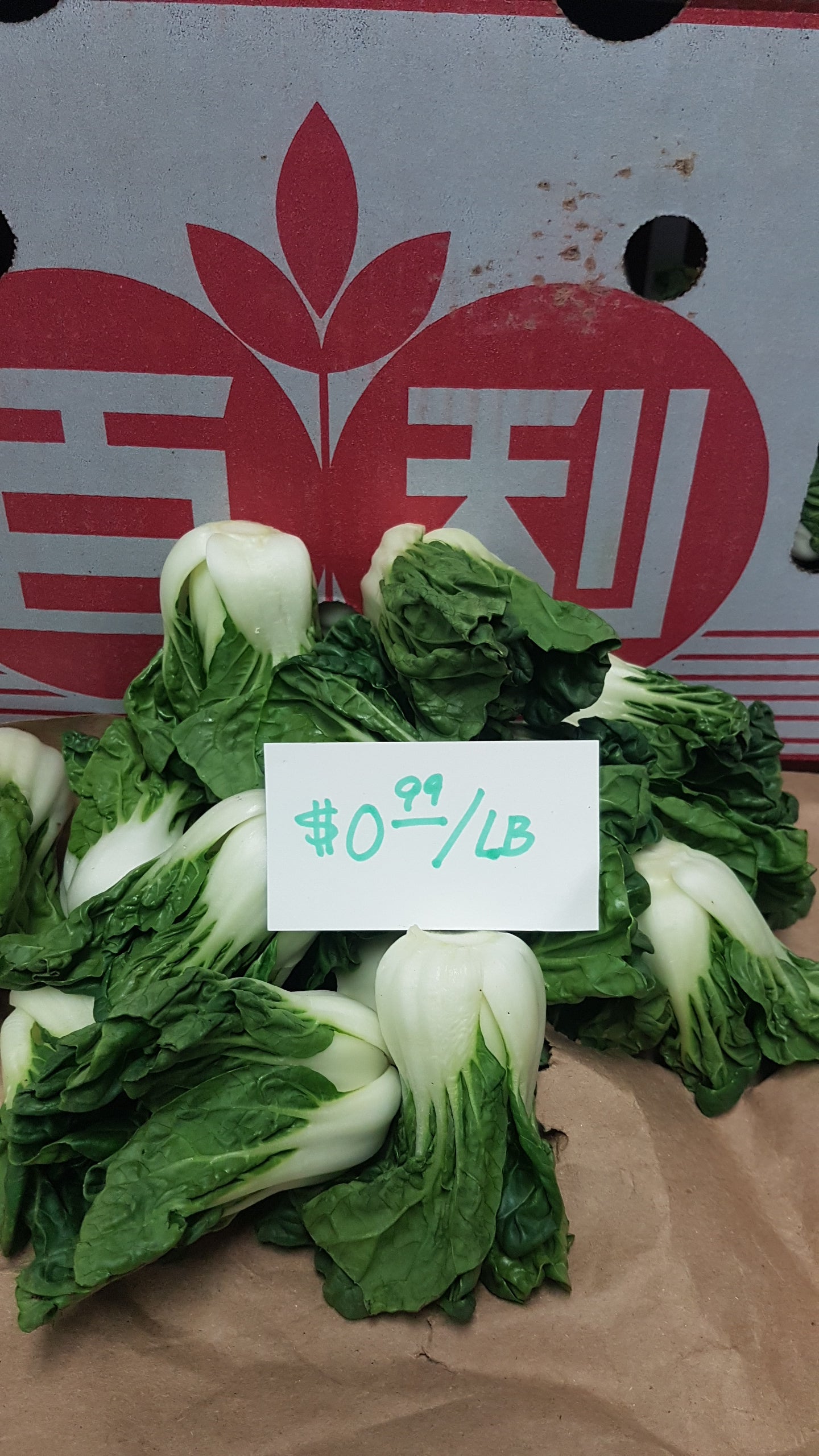 Bok Choy Tips 0,99$/lb