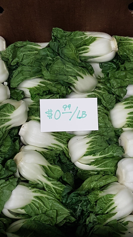 Pousse de BOK CHOP  0,99$ / lb